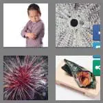 4 pics 1 word 6 letters urchin