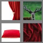 4 pics 1 word 6 letters velvet