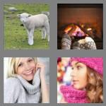 4 pics 1 word 6 letters woolly