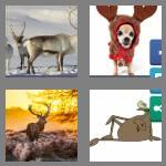 4 pics 1 word 7 letters antlers