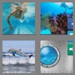 4 pics 1 word 7 letters aquatic