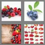4 pics 1 word 7 letters berries
