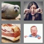 4 pics 1 word 7 letters blubber