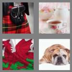 4 pics 1 word 7 letters britain