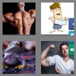 4 pics 1 word 7 letters bulging