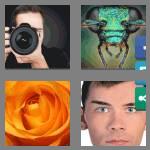 4 pics 1 word 7 letters closeup