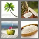 4 pics 1 word 7 letters coconut