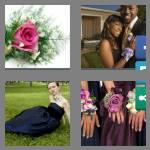 4 pics 1 word 7 letters corsage