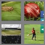 4 pics 1 word 7 letters cricket