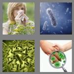 4 pics 1 word 7 letters disease