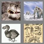 4 pics 1 word 7 letters extinct