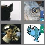 4 pics 1 word 7 letters fisheye