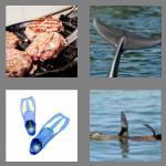 4 pics 1 word 7 letters flipper