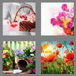 4 pics 1 word 7 letters flowers