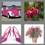 4 pics 1 word 7 letters fuchsia