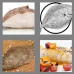 4 pics 1 word 7 letters halibut