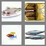 4 pics 1 word 7 letters herring
