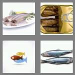 4 pics 1 word 7 letters herring