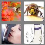 4 pics 1 word 7 letters humming