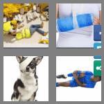 4 pics 1 word 7 letters injured