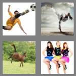 4 pics 1 word 7 letters kicking