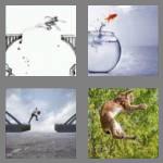 4 pics 1 word 7 letters leaping