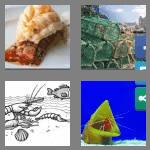 4 pics 1 word 7 letters lobster