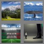 4 pics 1 word 7 letters massive