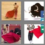 4 pics 1 word 7 letters matador