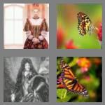 4 pics 1 word 7 letters monarch