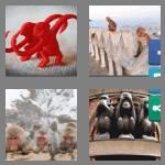 4 pics 1 word 7 letters monkeys