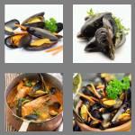 4 pics 1 word 7 letters mussels