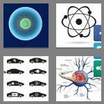 4 pics 1 word 7 letters nucleus