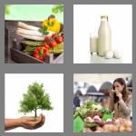 4 pics 1 word 7 letters organic