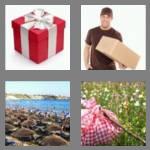 4 pics 1 word 7 letters package