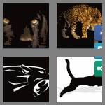 4 pics 1 word 7 letters panther