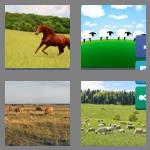 4 pics 1 word 7 letters pasture