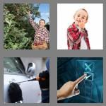 4 pics 1 word 7 letters picking