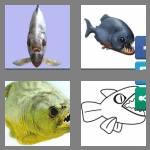 4 pics 1 word 7 letters piranha