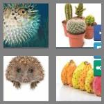 4 pics 1 word 7 letters prickly