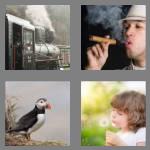 4 pics 1 word 7 letters puffing