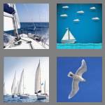 4 pics 1 word 7 letters sailing