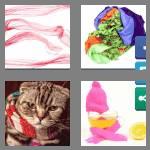 4 pics 1 word 7 letters scarves