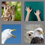 4 pics 1 word 7 letters screech