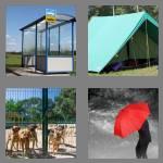 4 pics 1 word 7 letters shelter