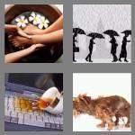 4 pics 1 word 7 letters soaking