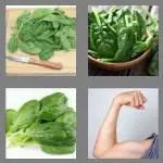 4 pics 1 word 7 letters spinach
