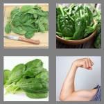 4 pics 1 word 7 letters spinach