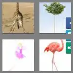 4 pics 1 word 7 letters spindly