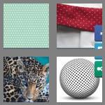 4 pics 1 word 7 letters spotted